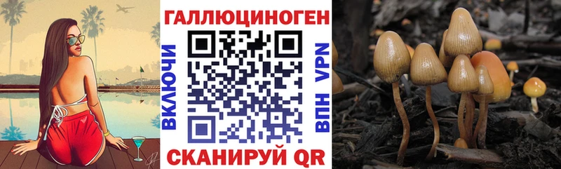Псилоцибиновые грибы прущие грибы  Тимашёвск 